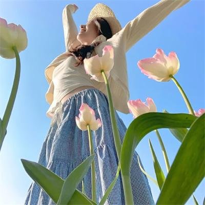 明治天皇与日俄战争 海报